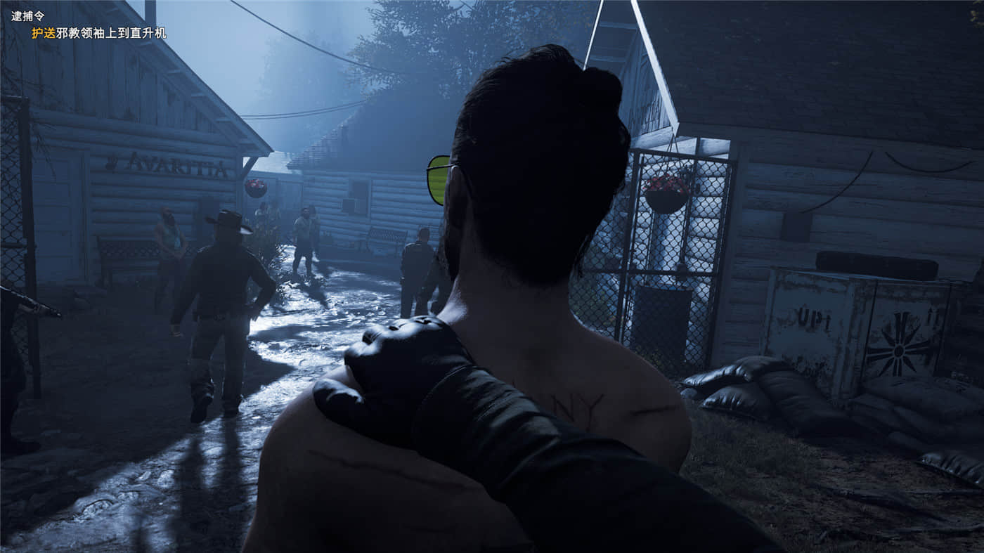 《孤岛惊魂5》v1.011黄金版 附历代合集